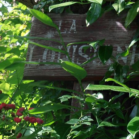 Gite La Louisiane Villa Salies-de-Béarn Exterior foto